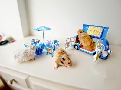 Leowow Mali životinjski skrovište Hamster House Mini Hamster Toys-plave