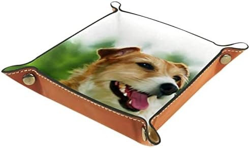 Tacameng kožna ladica za valene, slatka umjetnost psa za kućne ljubimce, kutije za skladištenje kockice za odlaganje radne