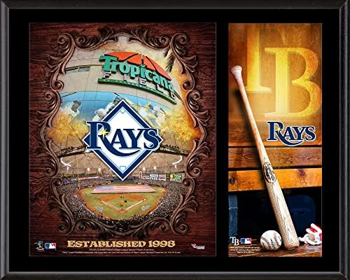 Tampa Bay Rays sublimirani 12 x 15 plaketa s logotipom - MLB timovi i kolaže