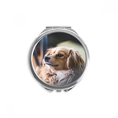 Pas male životinje usamljena fotografija ručno kompaktno ogledalo okruglo prijenosno džepno staklo