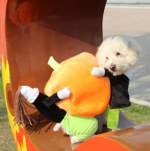 Chictry Dog Cat koji nosi bundeve Halloween kostim Fancy Party Photo Wormact Jakna narančasta X-velika